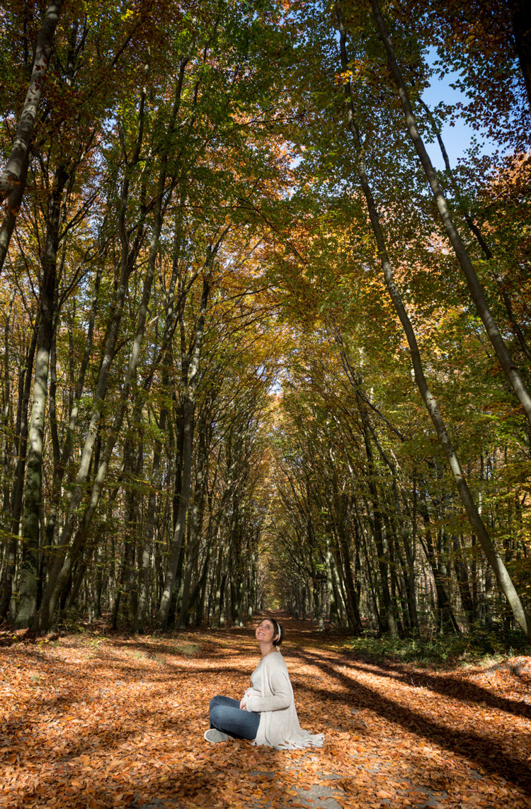 Séance photo grossesse automne - Fontainebleau