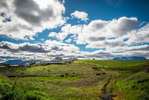 Photos Islande, région myvatn, extérieur paysage avec nuages blancs
