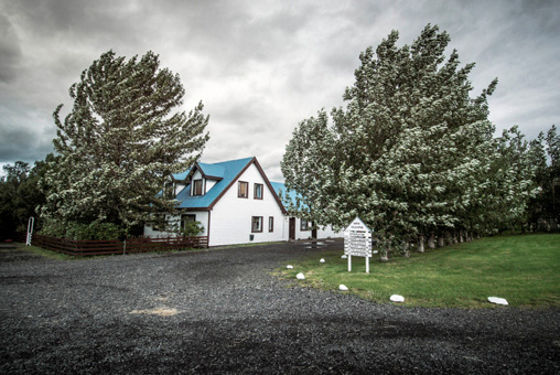Photos Islande, extérieur maison avec arbres secoués par le vent
