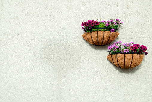 Photos Islande, pots de fleurs sur une façade
