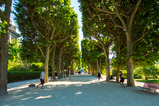 Séance Noéline et Florent, photo extérieure Jardin des plantes arbres qui font une ligne