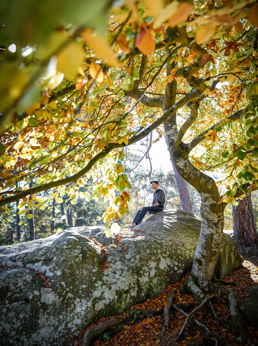 Séance famille grossesse, photo extérieure, Forêt de Fontainebleau